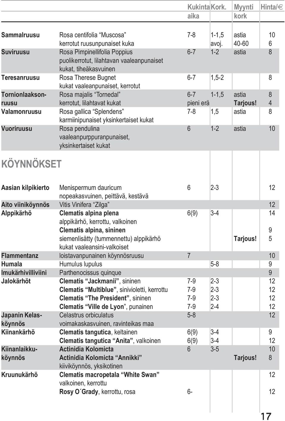 kerrotut Tornionlaakson- Rosa majalis Tornedal 6-7 1-1,5 astia 8 ruusu kerrotut, lilahtavat kukat pieni erä Tarjous!