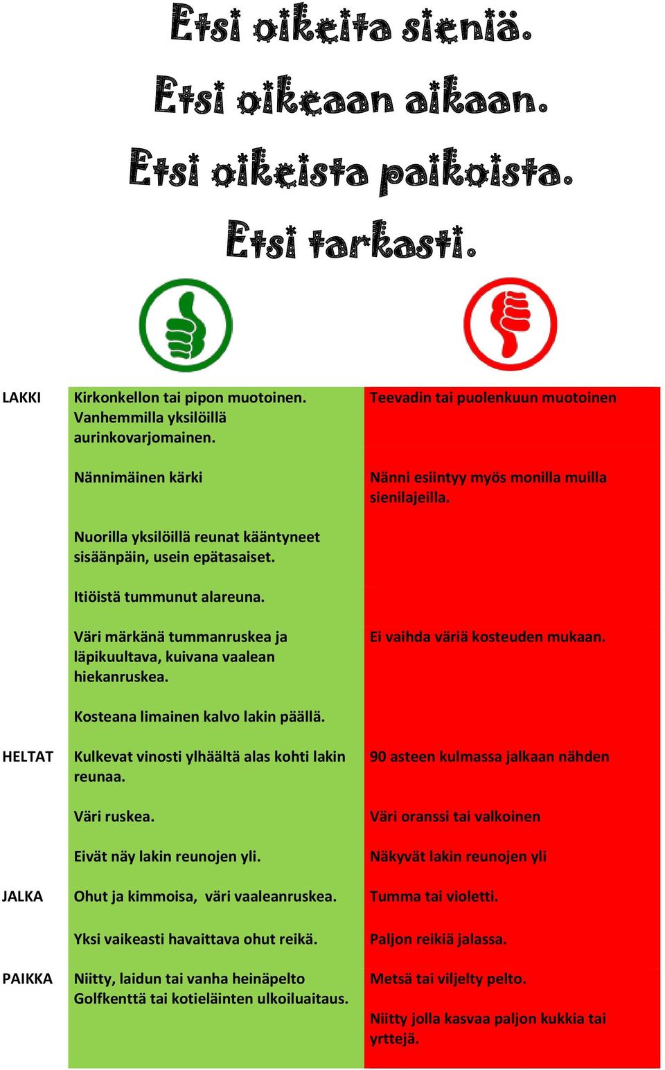 Kosteana limainen kalvo lakin päällä. Kulkevat vinosti ylhäältä alas kohti lakin reunaa. Väri ruskea. Eivät näy lakin reunojen yli.