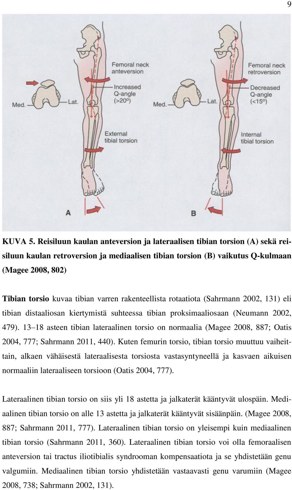 varren rakenteellista rotaatiota (Sahrmann 2002, 131) eli tibian distaaliosan kiertymistä suhteessa tibian proksimaaliosaan (Neumann 2002, 479).