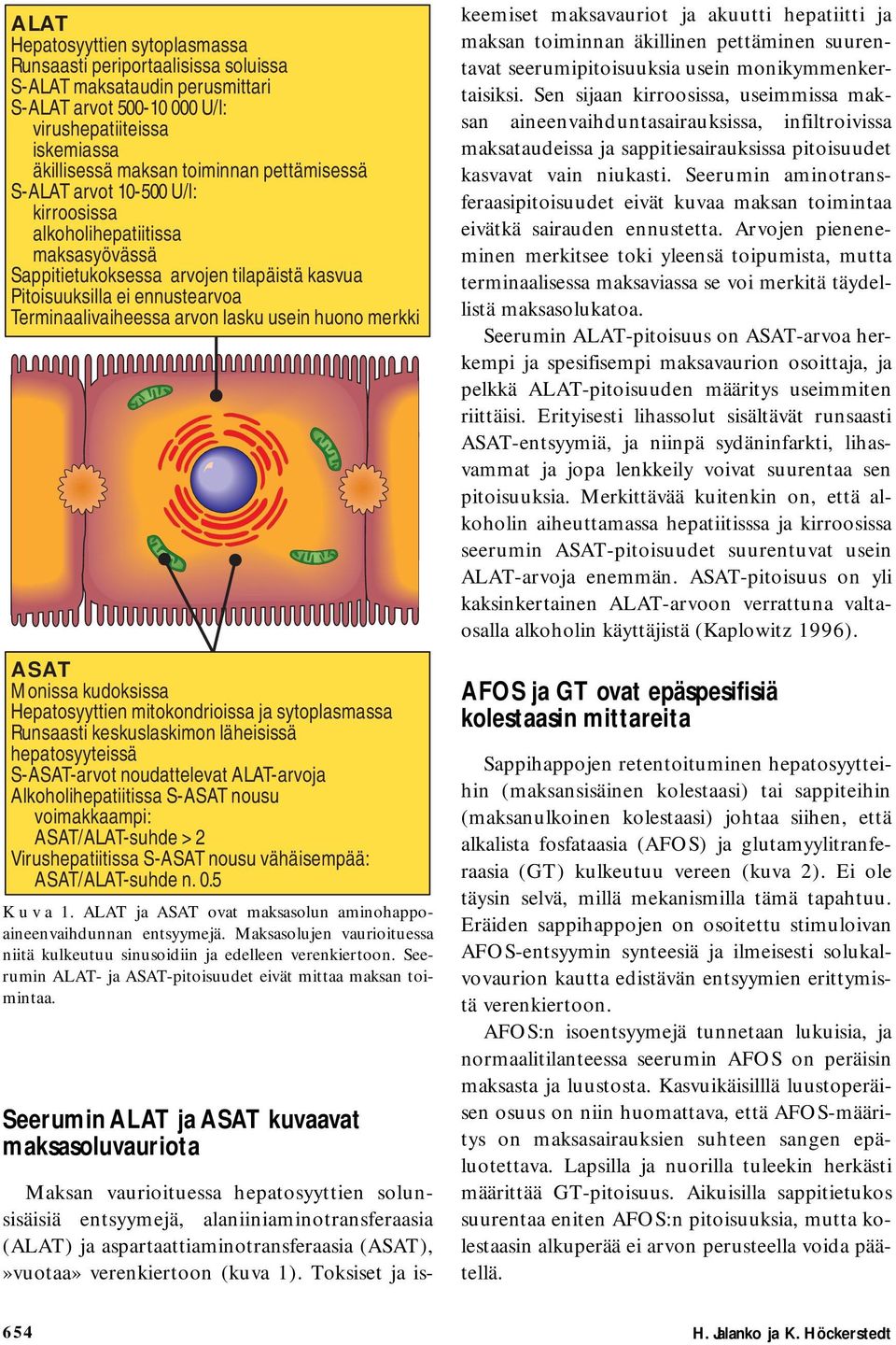 huono merkki ASAT Monissa kudoksissa Hepatosyyttien mitokondrioissa ja sytoplasmassa Runsaasti keskuslaskimon läheisissä hepatosyyteissä S-ASAT-arvot noudattelevat ALAT-arvoja Alkoholihepatiitissa