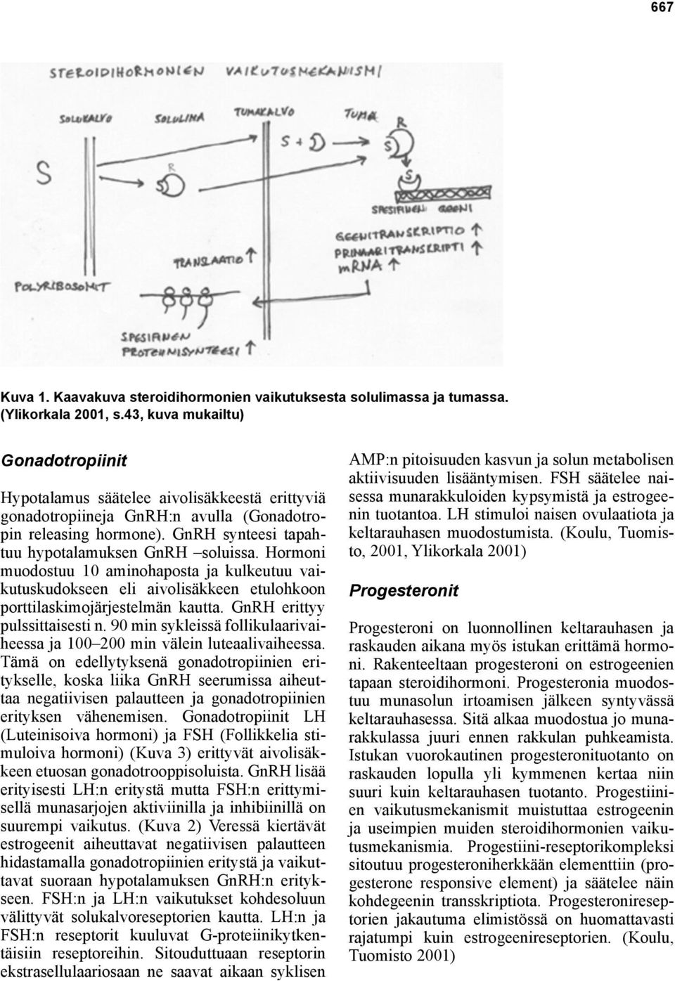 Hormoni muodostuu 10 aminohaposta ja kulkeutuu vaikutuskudokseen eli aivolisäkkeen etulohkoon porttilaskimojärjestelmän kautta. GnRH erittyy pulssittaisesti n.