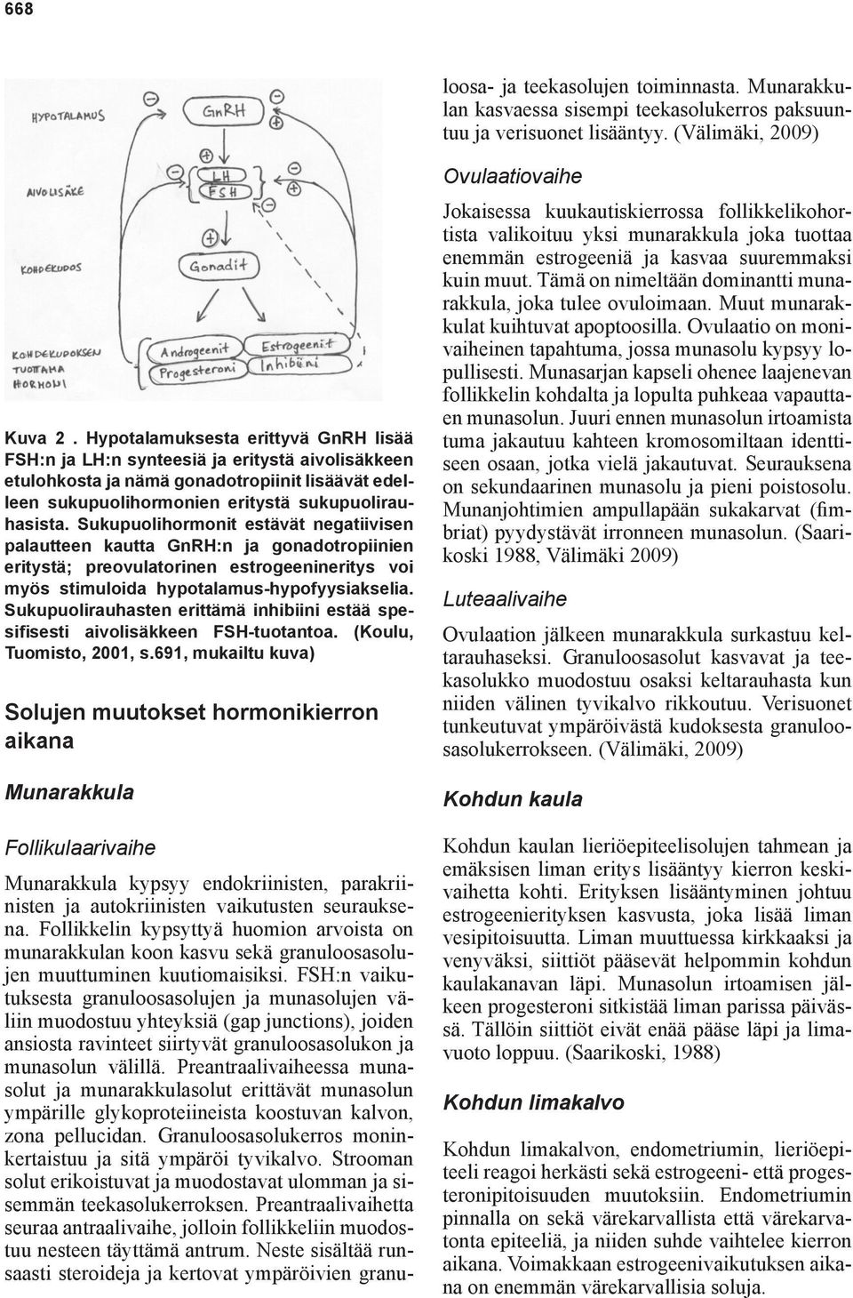 FSH:n vaikutuksesta granuloosasolujen ja munasolujen väliin muodostuu yhteyksiä (gap junctions), joiden ansiosta ravinteet siirtyvät granuloosasolukon ja munasolun välillä.