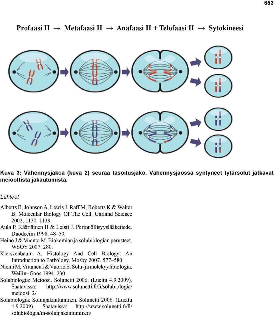 Duodecim 1998. 48 50. Heino J & Vuento M. Biokemian ja solubiologian perusteet. WSOY 2007. 280. Kierszenbaum A. Histology And Cell Biology: An Introduction to Pathology. Mosby 2007. 577 580.