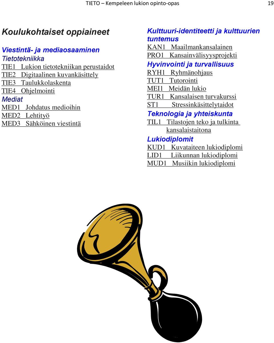 Maailmankansalainen PRO1 Kansainvälisyysprojekti Hyvinvointi ja turvallisuus RYH1 Ryhmänohjaus TUT1 Tutorointi MEI1 Meidän lukio TUR1 Kansalaisen turvakurssi ST1