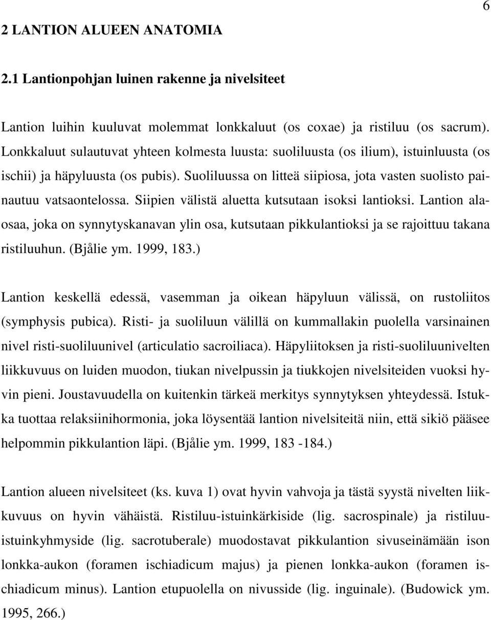 Siipien välistä aluetta kutsutaan isoksi lantioksi. Lantion alaosaa, joka on synnytyskanavan ylin osa, kutsutaan pikkulantioksi ja se rajoittuu takana ristiluuhun. (Bjålie ym. 1999, 183.