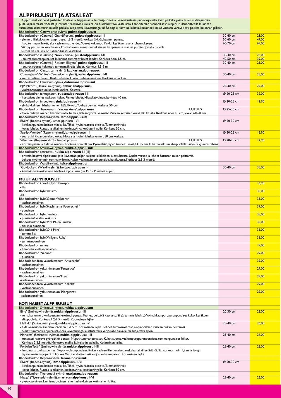 Rodoja ei tarvitse leikata. Kuivuneet kukat voidaan varovaisesti poistaa kukinnan jälkeen. Rhododendron Catawbiense-ryhmä, puistoalppiruusut: Rhododendron (Catawb.