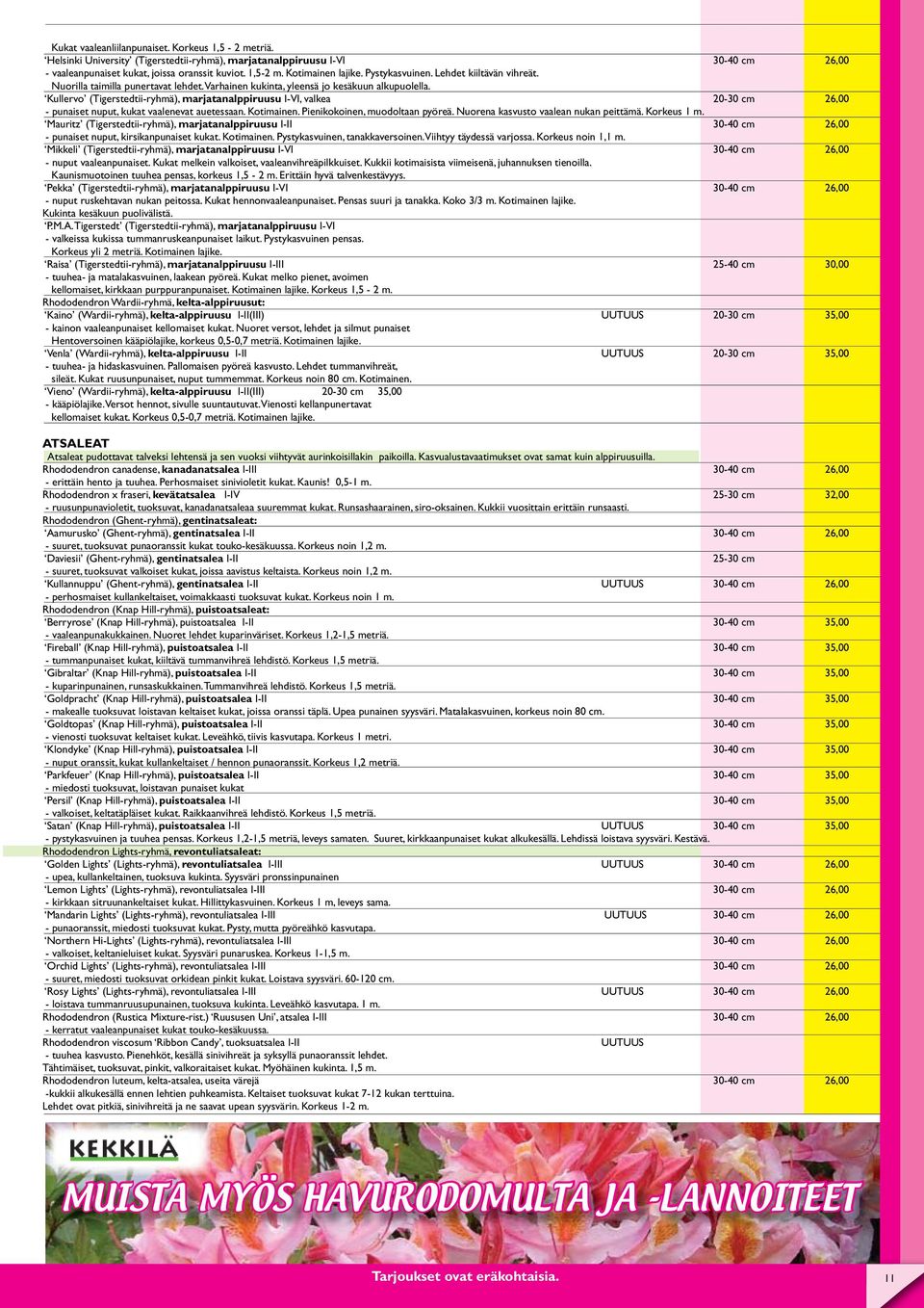Kullervo (Tigerstedtii-ryhmä), marjatanalppiruusu I-VI, valkea 20-30 cm 26,00 - punaiset nuput, kukat vaalenevat auetessaan. Kotimainen. Pienikokoinen, muodoltaan pyöreä.