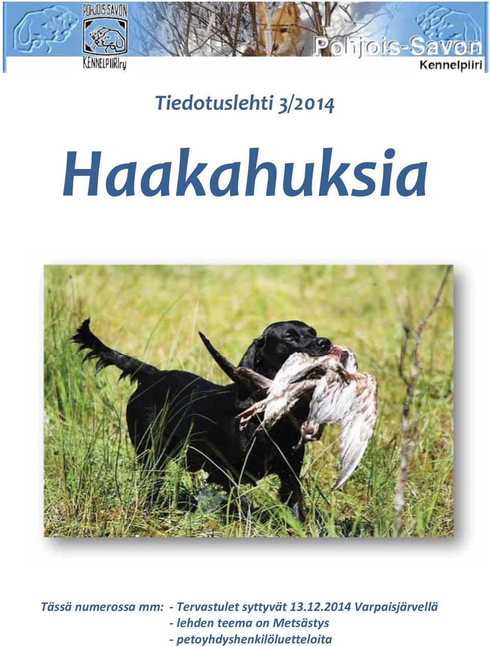 12.2014 Varpaisjärvellä - lehden teema