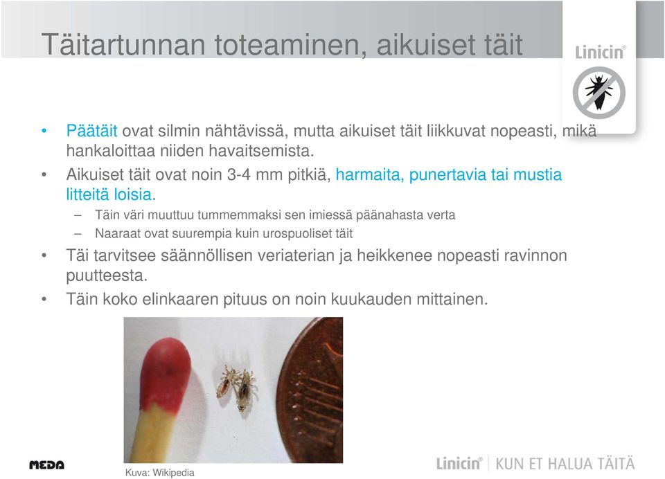 Täin väri muuttuu tummemmaksi sen imiessä päänahasta verta Naaraat ovat suurempia kuin urospuoliset täit Täi tarvitsee