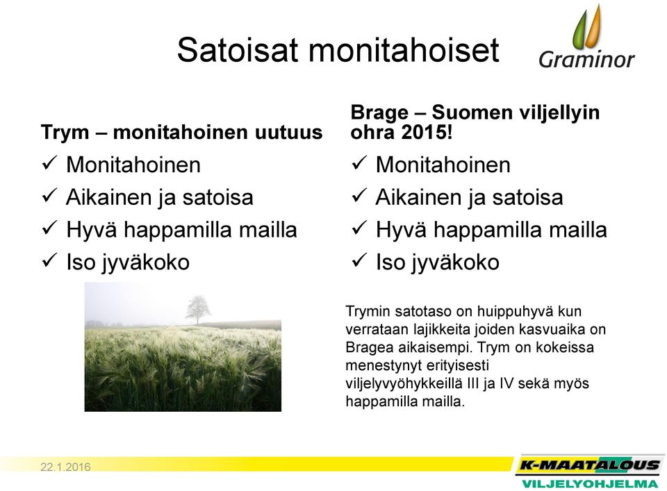 Monitahoinen Aikainen ja satoisa Hyvä happamilla mailla Iso jyväkoko Trymin satotaso on huippuhyvä kun