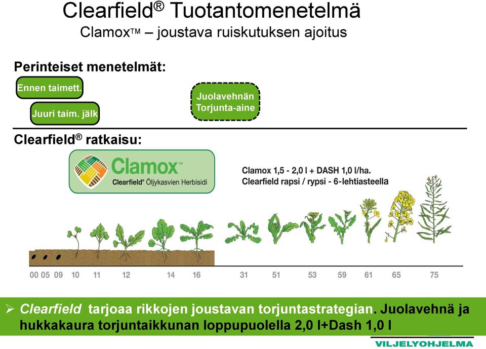 jälk Juolavehnän Torjunta-aine Clearfield ratkaisu: 00 05 10 11 12 14 18