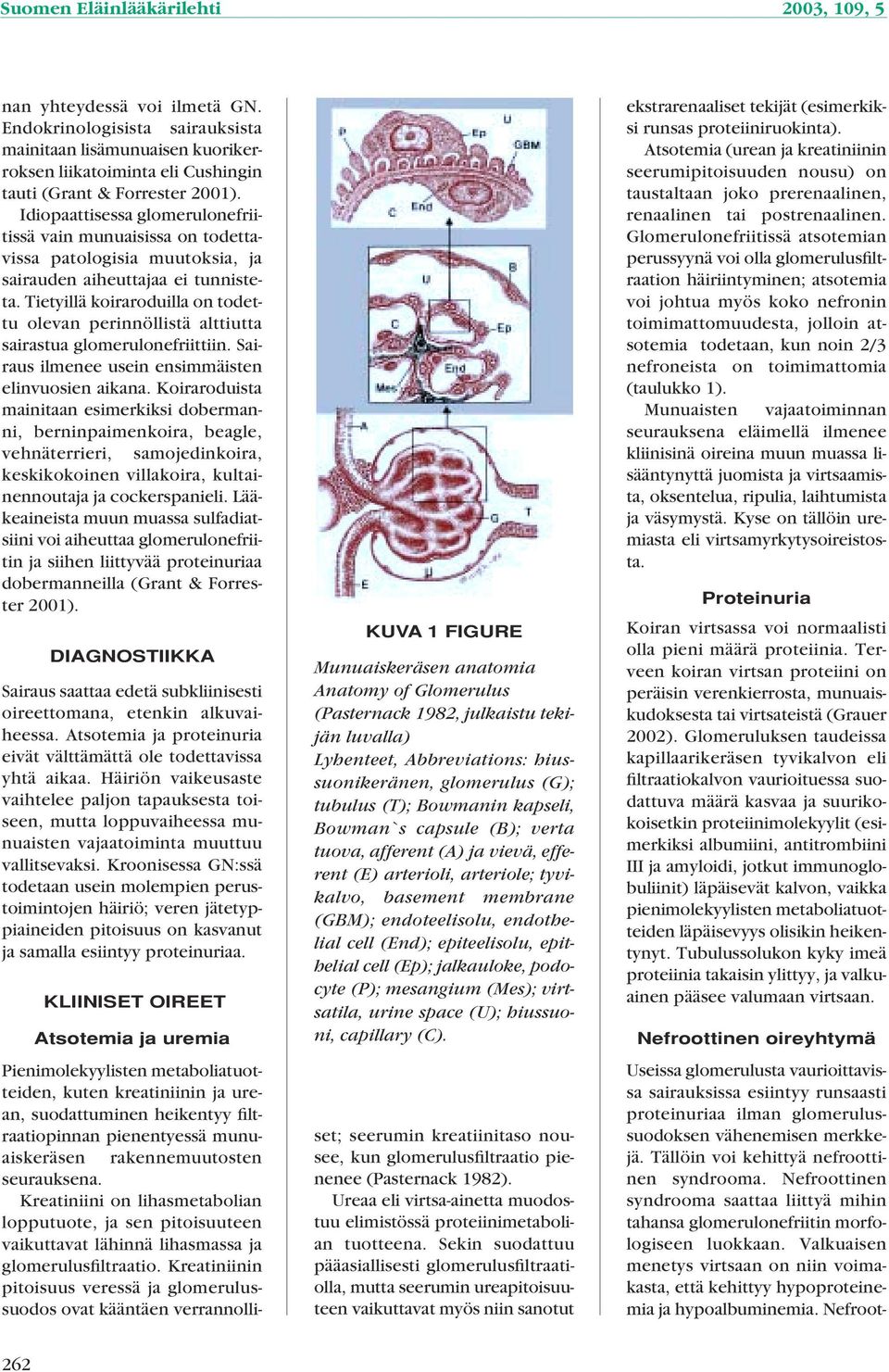 Tietyillä koiraroduilla on todettu olevan perinnöllistä alttiutta sairastua glomerulonefriittiin. Sairaus ilmenee usein ensimmäisten elinvuosien aikana.