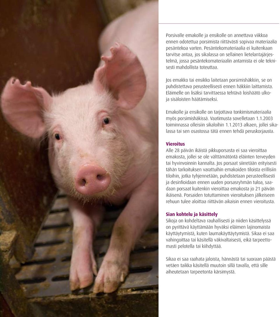 Jos emakko tai ensikko laitetaan porsimishäkkiin, se on puhdistettava perusteellisesti ennen häkkiin laittamista. Eläimelle on lisäksi tarvittaessa tehtävä loishäätö ulkoja sisäloisten häätämiseksi.