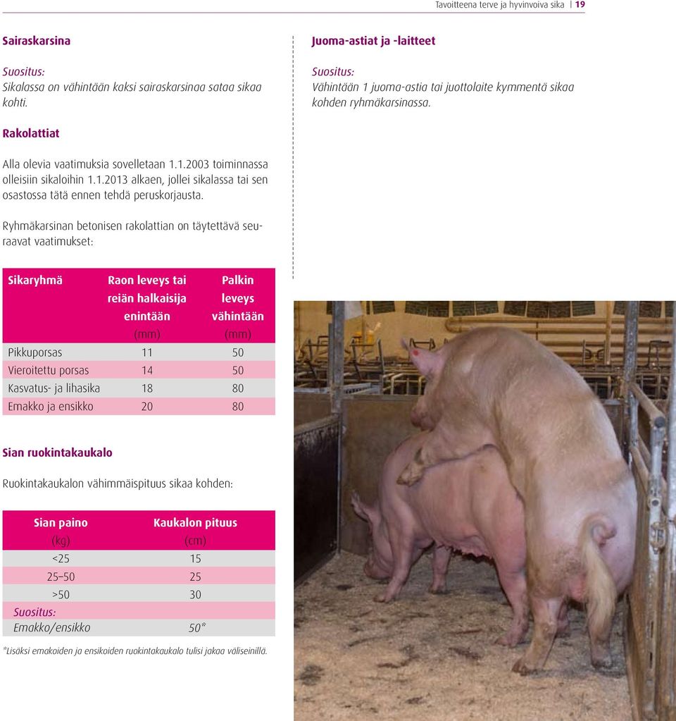 Ryhmäkarsinan betonisen rakolattian on täytettävä seuraavat vaatimukset: Sikaryhmä Pikkuporsas Vieroitettu porsas Kasvatus- ja lihasika Emakko ja ensikko Raon leveys tai reiän halkaisija enintään