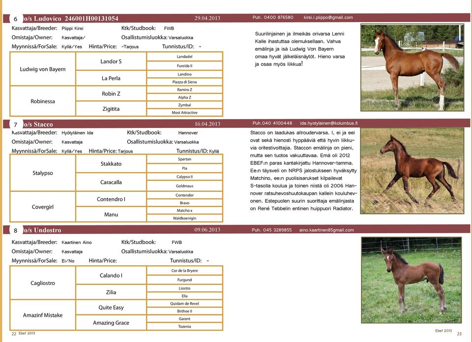 von Bayern La Perla Robin Z Robinessa Zigitita Landadel Fureida II Landino Piazza di Siena Ramiro Z Alpha Z Zymbal Most Attractive 7 o/s Stacco 16.04.