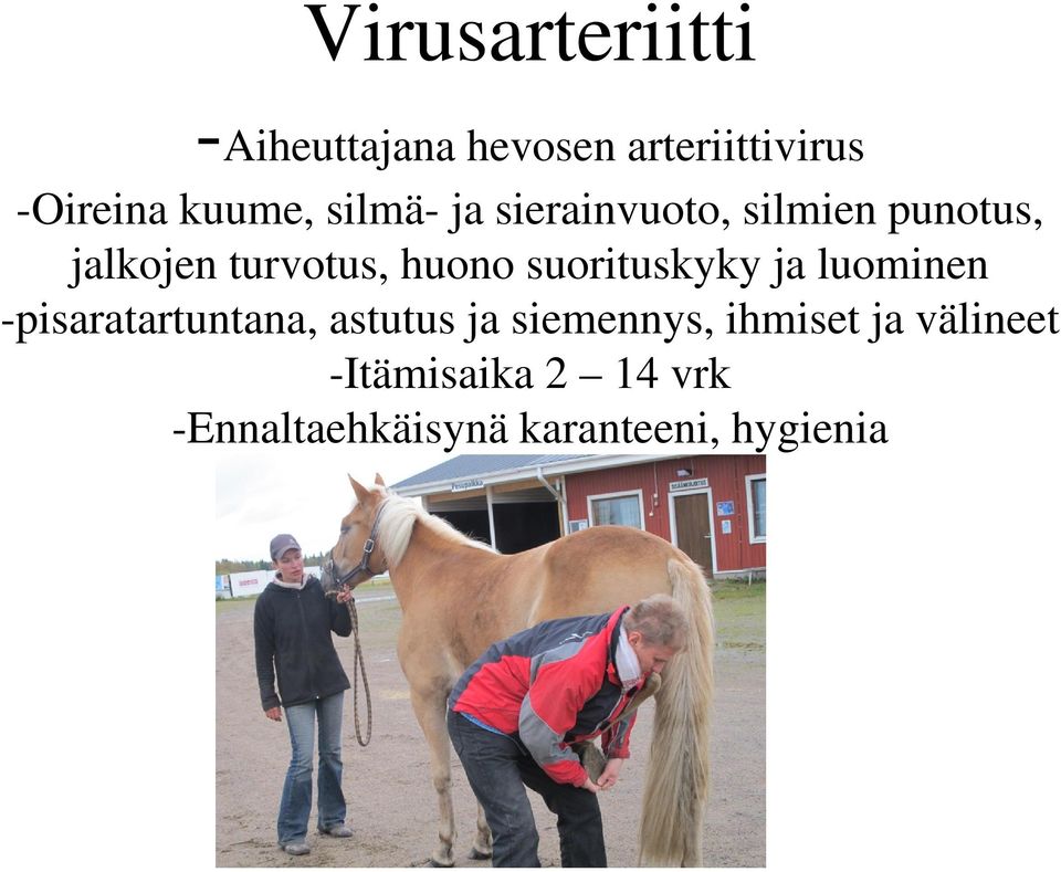 suorituskyky ja luominen -pisaratartuntana, astutus ja siemennys,