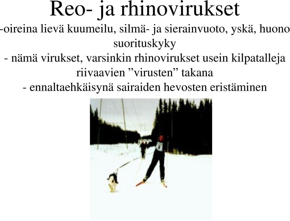 varsinkin rhinovirukset usein kilpatalleja riivaavien