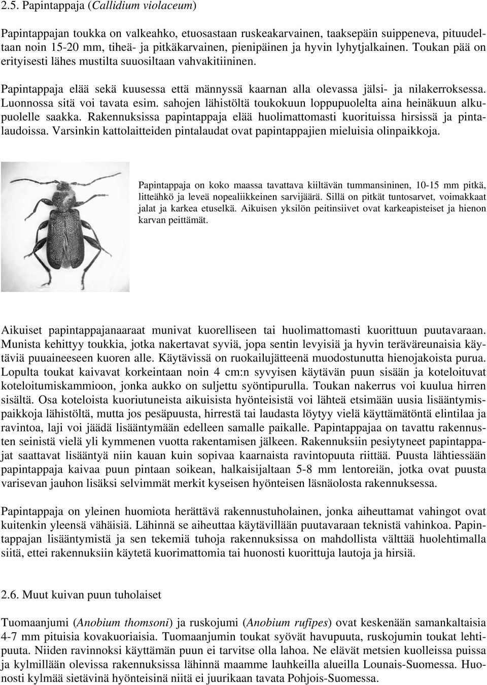 Luonnossa sitä voi tavata esim. sahojen lähistöltä toukokuun loppupuolelta aina heinäkuun alkupuolelle saakka. Rakennuksissa papintappaja elää huolimattomasti kuorituissa hirsissä ja pintalaudoissa.