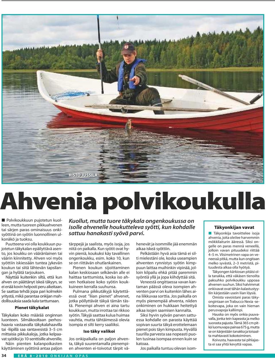 Ahven voi myös syöttiin iskiessään tuntea jykevän koukun tai siitä lähtevän tapsilangan ja hylätä tarjouksen.