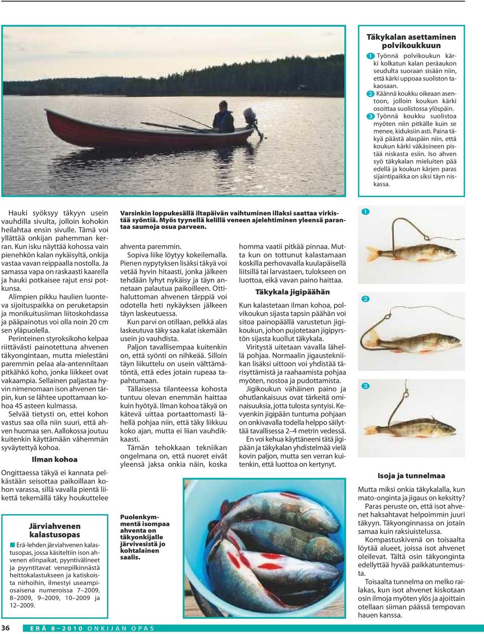 Paina täkyä päästä alaspäin niin, että koukun kärki väkäsineen pistää niskasta esiin. Iso ahven syö täkykalan mieluiten pää edellä ja koukun kärjen paras sijaintipaikka on siksi täyn niskassa.