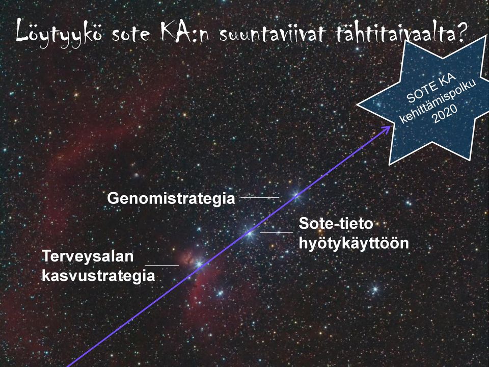 Terveysalan kasvustrategia