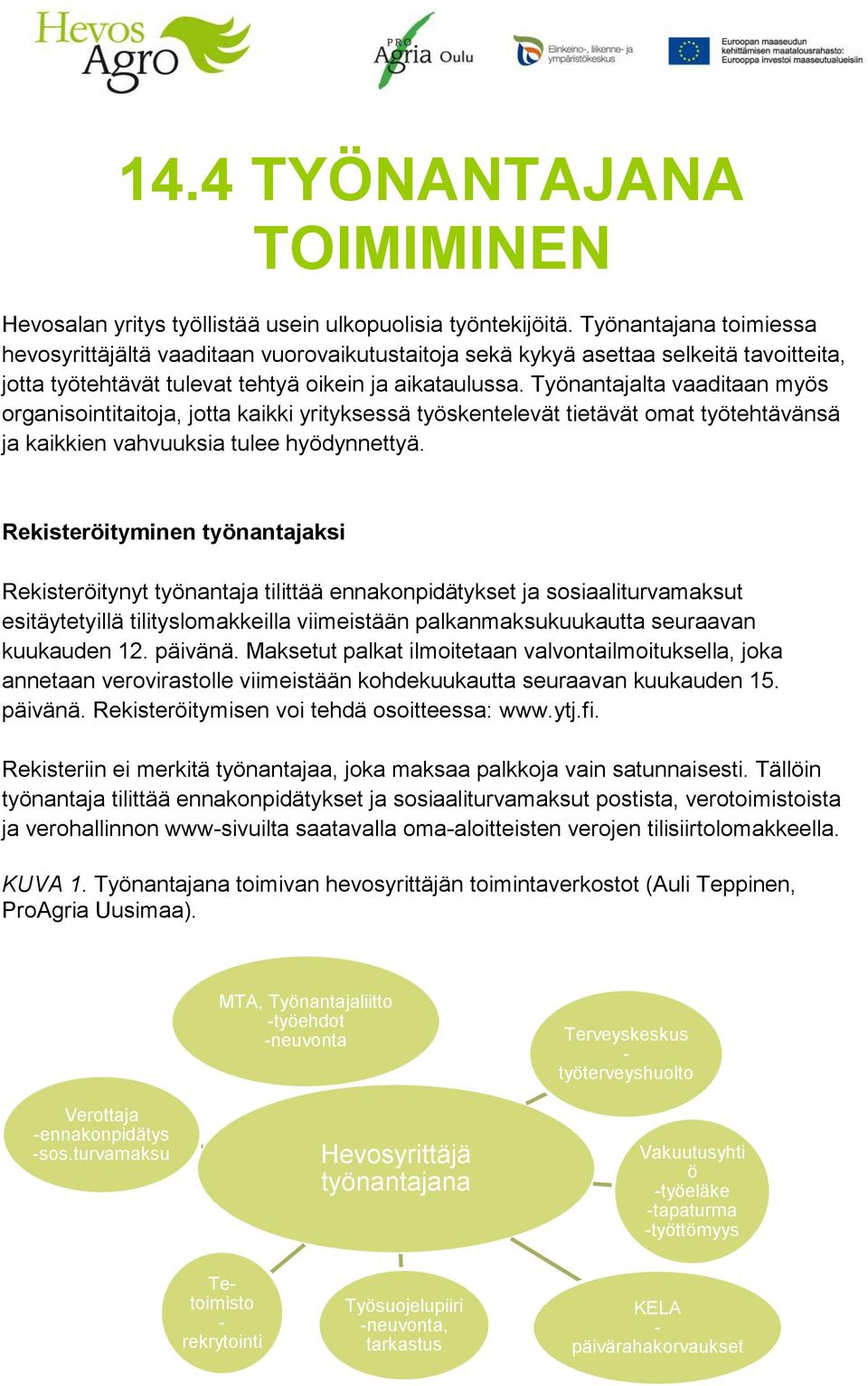 Työnantajalta vaaditaan myös organisointitaitoja, jotta kaikki yrityksessä työskentelevät tietävät omat työtehtävänsä ja kaikkien vahvuuksia tulee hyödynnettyä.