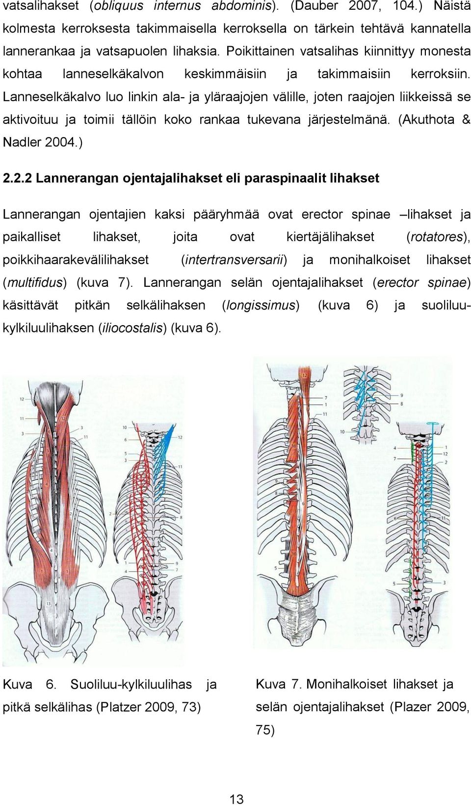 Lanneselkäkalvo luo linkin ala- ja yläraajojen välille, joten raajojen liikkeissä se aktivoituu ja toimii tällöin koko rankaa tukevana järjestelmänä. (Akuthota & Nadler 20