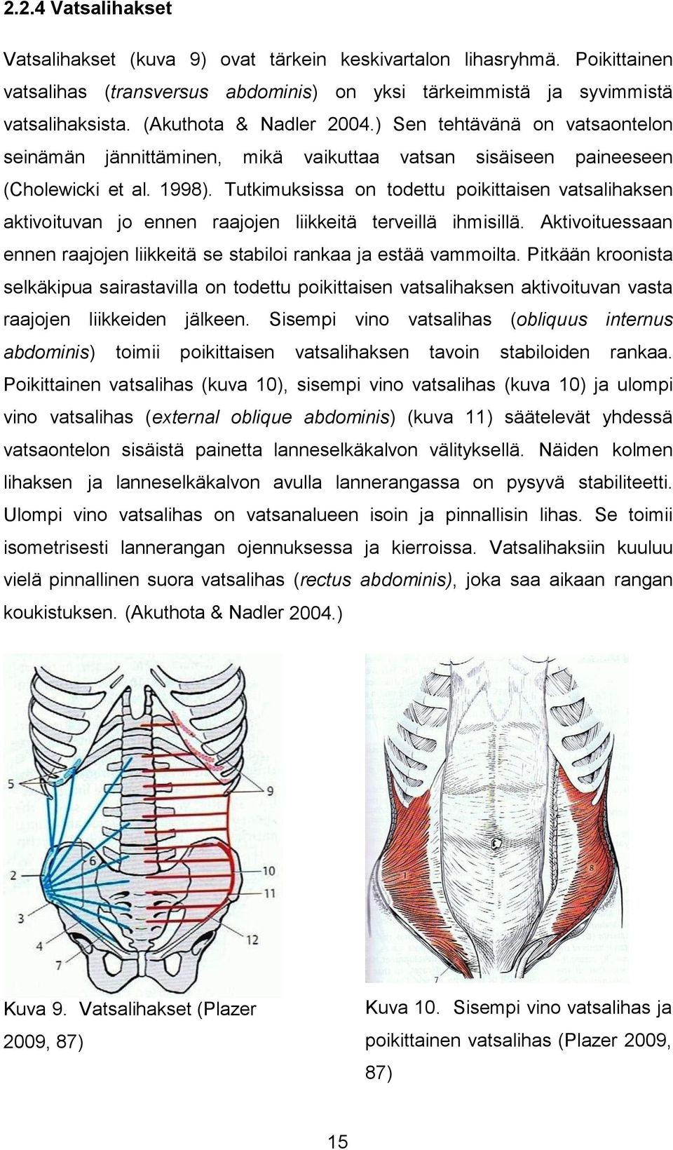 Tutkimuksissa on todettu poikittaisen vatsalihaksen aktivoituvan jo ennen raajojen liikkeitä terveillä ihmisillä. Aktivoituessaan ennen raajojen liikkeitä se stabiloi rankaa ja estää vammoilta.