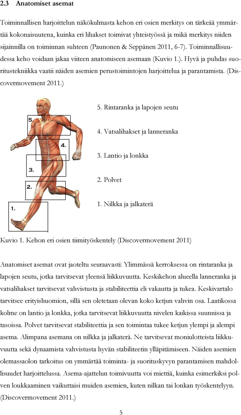 (Discovermovement 2011.) 5. Rintaranka ja lapojen seutu 4. Vatsalihakset ja lanneranka 3. Lantio ja lonkka 2. Polvet 1. Nilkka ja jalkaterä Kuvio 1.