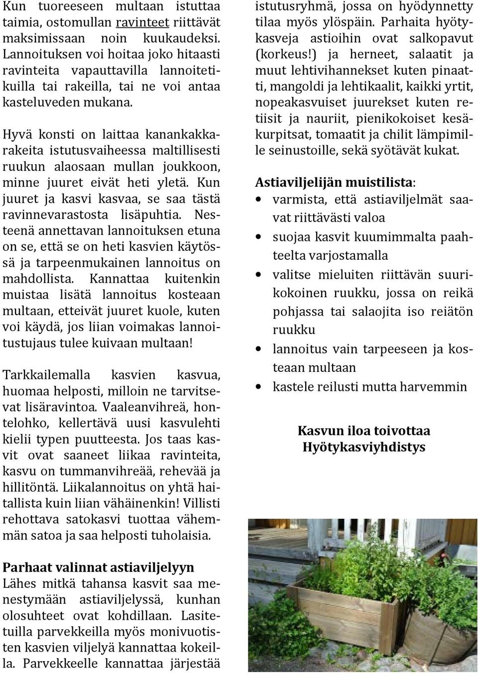 Hyvä konsti on laittaa kanankakkarakeita istutusvaiheessa maltillisesti ruukun alaosaan mullan joukkoon, minne juuret eivät heti yletä.