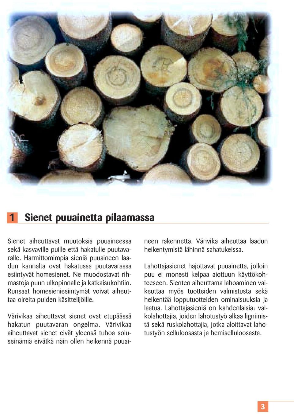 Runsaat homesieniesiintymät voivat aiheuttaa oireita puiden käsittelijöille. Värivikaa aiheuttavat sienet ovat etupäässä hakatun puutavaran ongelma.