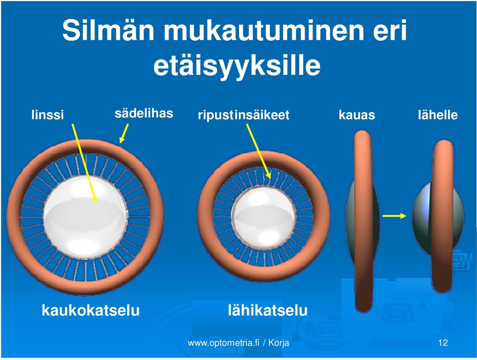 sädelihas ripustinsäikeet