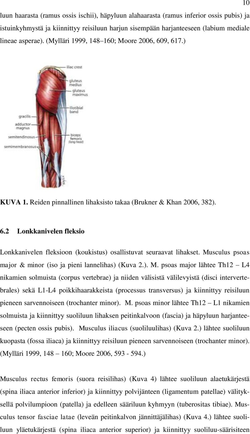 Musculus psoas major & minor (iso ja pieni lannelihas) (Kuva 2.). M.