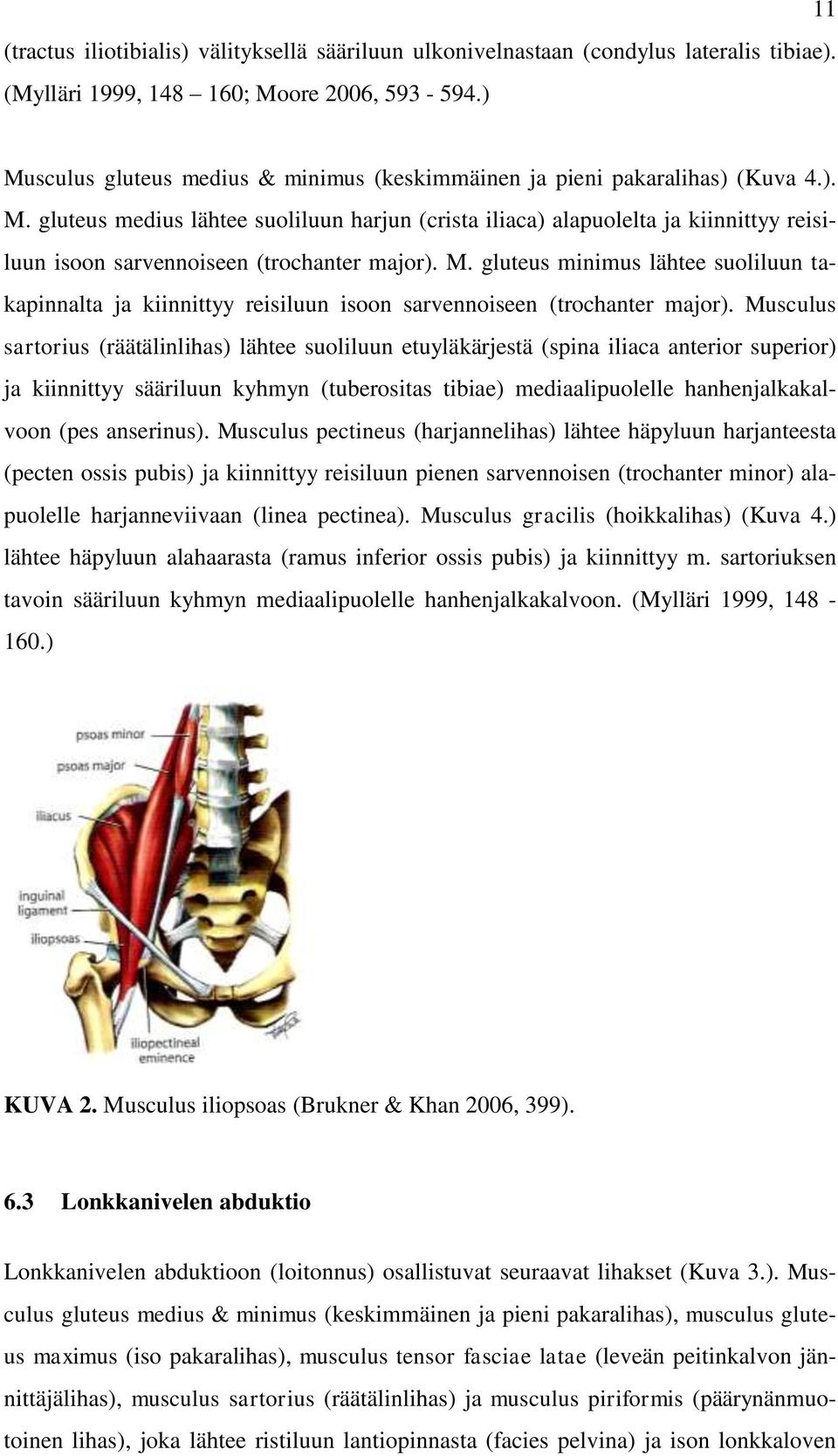 M. gluteus minimus lähtee suoliluun takapinnalta ja kiinnittyy reisiluun isoon sarvennoiseen (trochanter major).