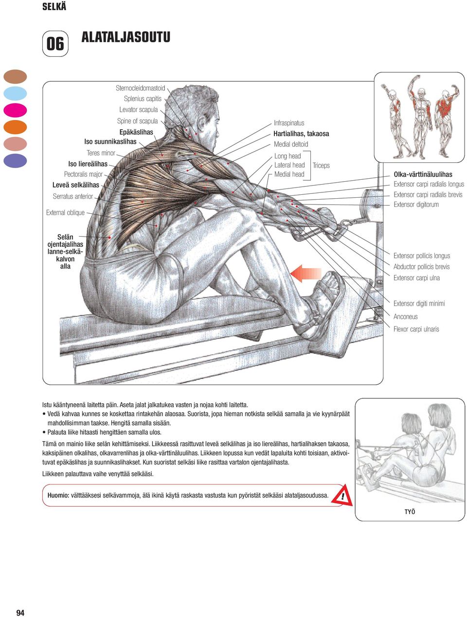 digitorum Selän ojentajalihas lanne-selkäkalvon alla Extensor pollicis longus Abductor pollicis brevis Extensor carpi ulna Extensor digiti minimi Anconeus Flexor carpi ulnaris Istu kääntyneenä