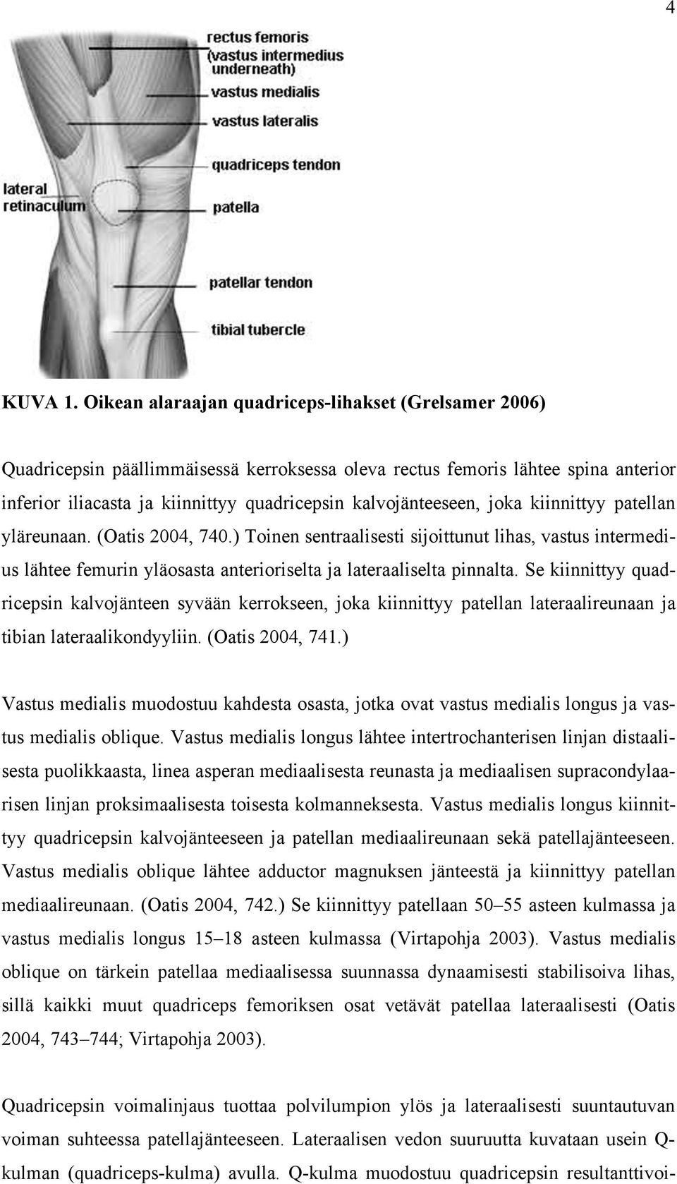 kalvojänteeseen, joka kiinnittyy patellan yläreunaan. (Oatis 2004, 740.) Toinen sentraalisesti sijoittunut lihas, vastus intermedius lähtee femurin yläosasta anterioriselta ja lateraaliselta pinnalta.