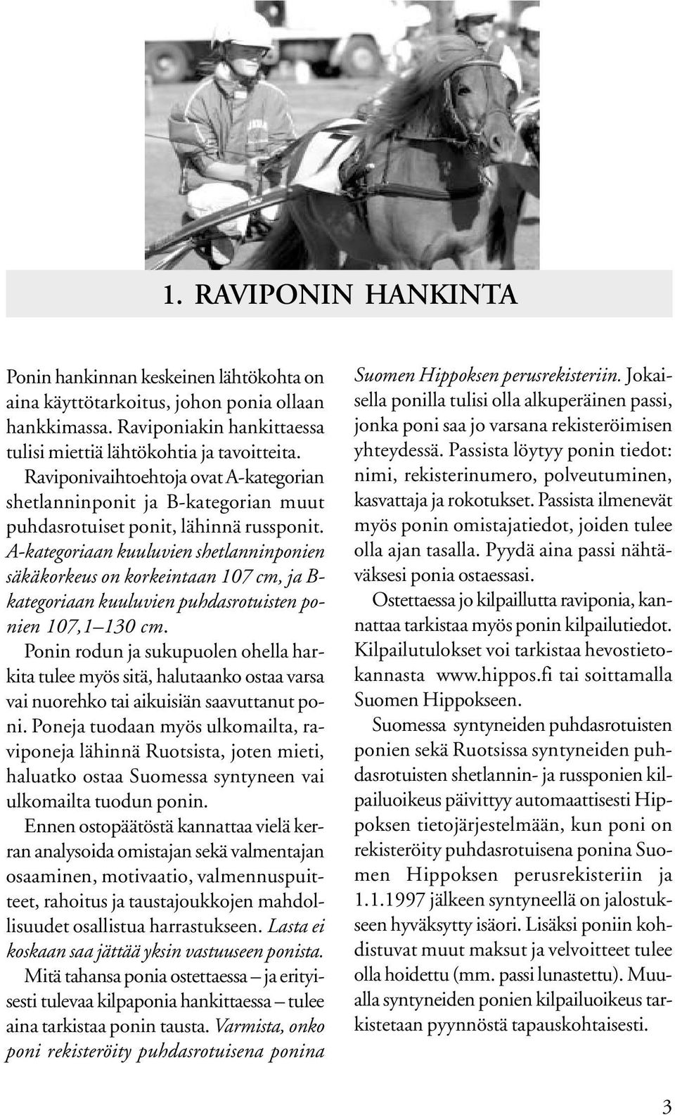 A-kategoriaan kuuluvien shetlanninponien säkäkorkeus on korkeintaan 107 cm, ja B- kategoriaan kuuluvien puhdasrotuisten ponien 107,1 130 cm.