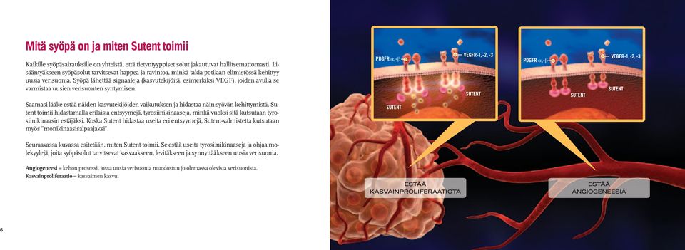 Syöpä lähettää signaaleja (kasvutekijöitä, esimerkiksi VEGF), joiden avulla se varmistaa uusien verisuonten syntymisen.