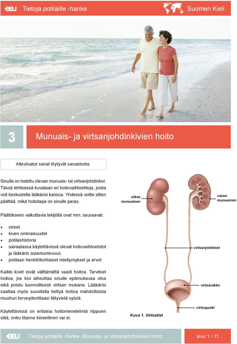 oikea munuainen vasen munuainen Päätökseen vaikuttavia tekijöitä ovat mm.