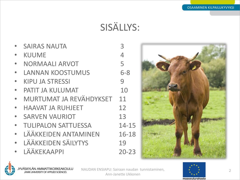 11 HAAVAT JA RUHJEET 12 SARVEN VAURIOT 13 TULIPALON SATTUESSA 14-15