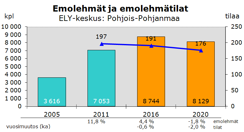 Emolehmämäärä voi kasvaa