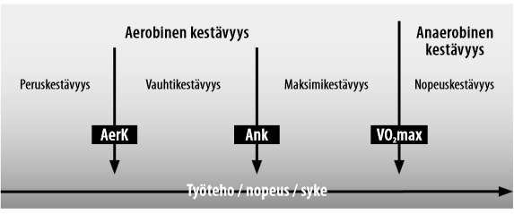 KUVA 3. Submaksimaaliset kynnystehot suomalaisessa kestävyysvalmennuksessa. (Keskinen ym.