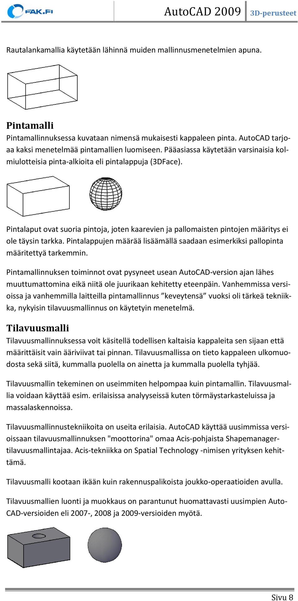 Pintalaput ovat suoria pintoja, joten kaarevien ja pallomaisten pintojen määritys ei ole täysin tarkka. Pintalappujen määrää lisäämällä saadaan esimerkiksi pallopinta määritettyä tarkemmin.