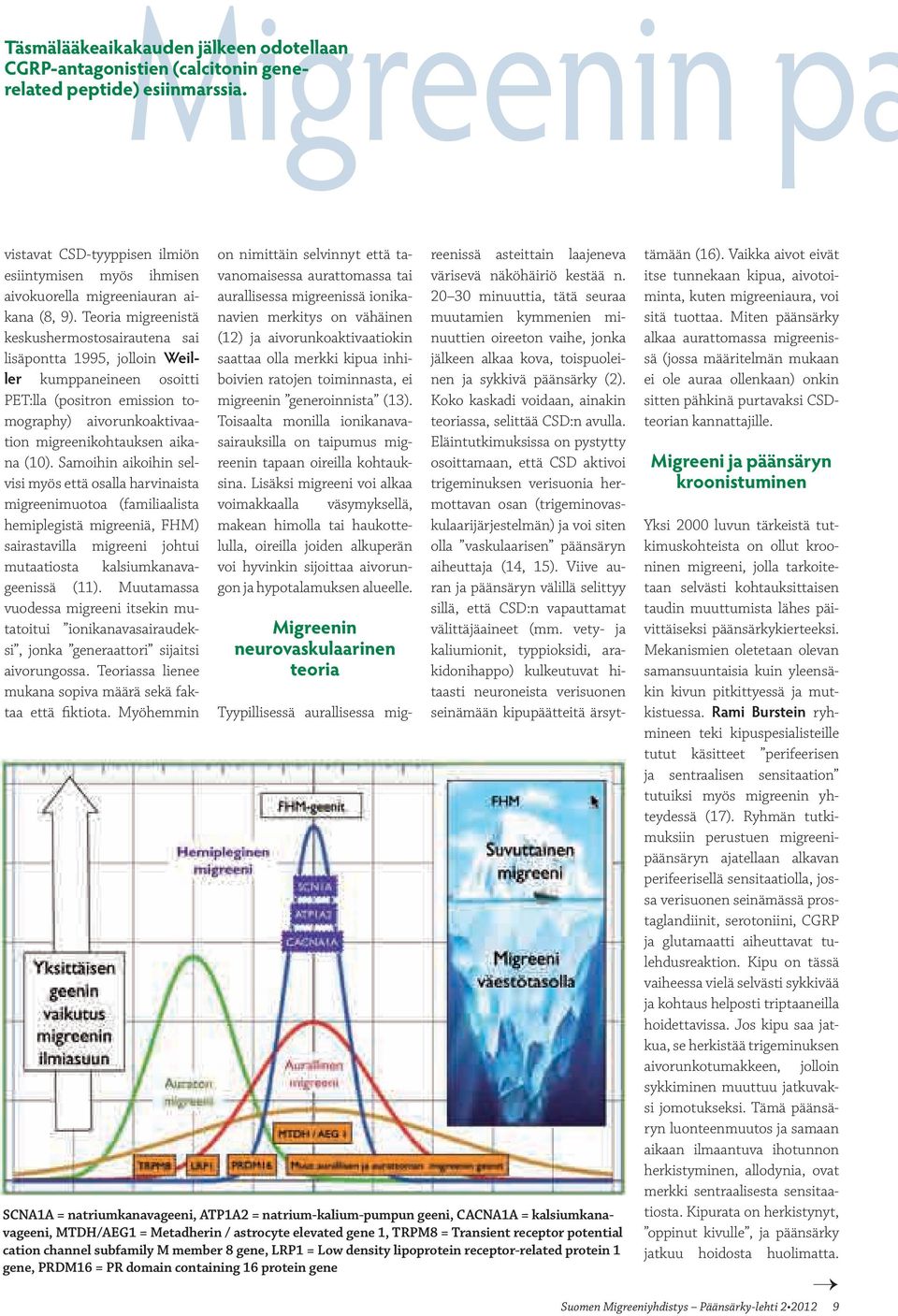 Teoria migreenistä keskushermostosairautena sai lisäpontta 1995, jolloin Weiller kumppaneineen osoitti PET:lla (positron emission tomography) aivorunkoaktivaation migreenikohtauksen aikana (10).