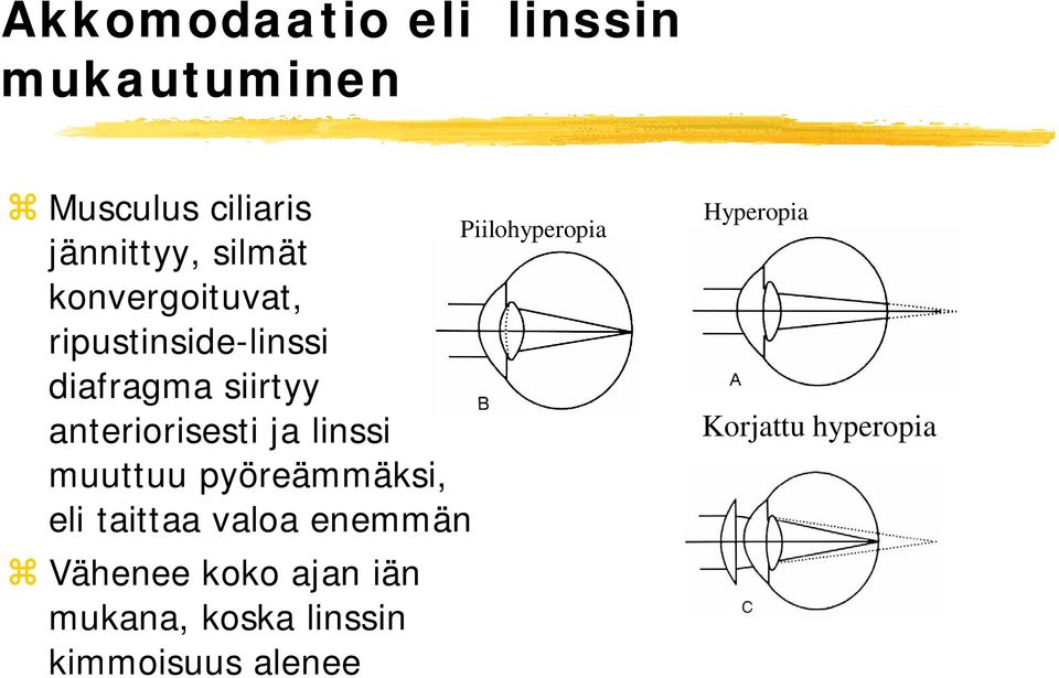 linssi muuttuu pyöreämmäksi, eli taittaa valoa enemmän Vähenee koko ajan iän