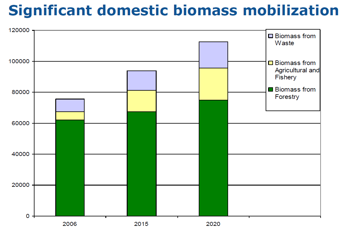 EU:ssa tuotettava biomassa