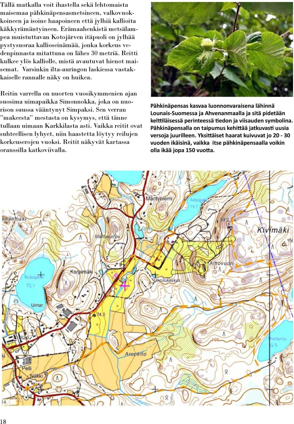 Reitti kulkee ylös kalliolle, mistä avautuvat hienot maisemat. Varsinkin ilta-auringon laskiessa vastakkaiselle rannalle näky on huikea.