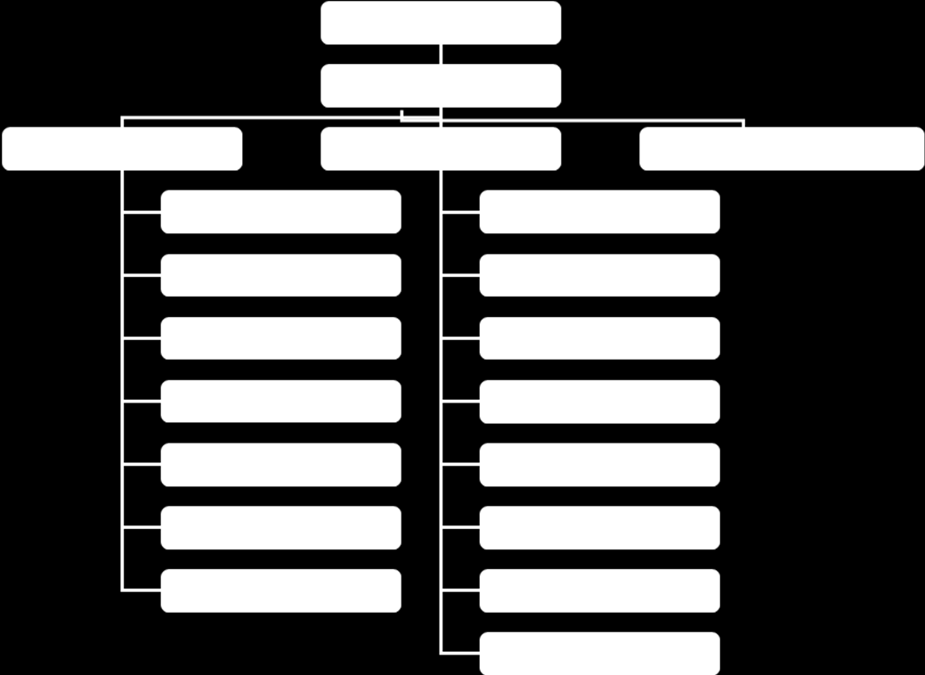 38 LIITE 5 Projektiryhmän luonnos ammatillisen