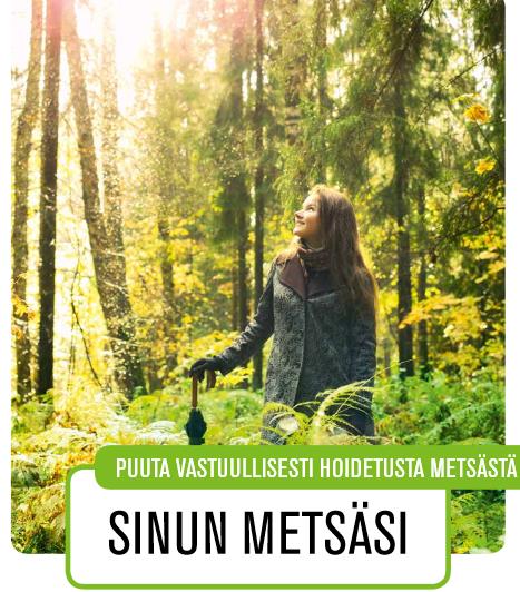 Sisältö: Mitä metsäsertifiointi on? Mikä PEFC on?