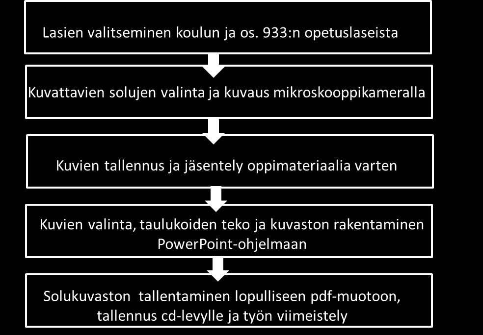 28 ja jo kuvatuista kuvista. Solujen morfologiassa keskityttiin solujen ominaispiirteisiin, koska solukuvasto on tarkoitus tehdä opiskelijoille, jotka aloittavat solujen tunnistuksen.